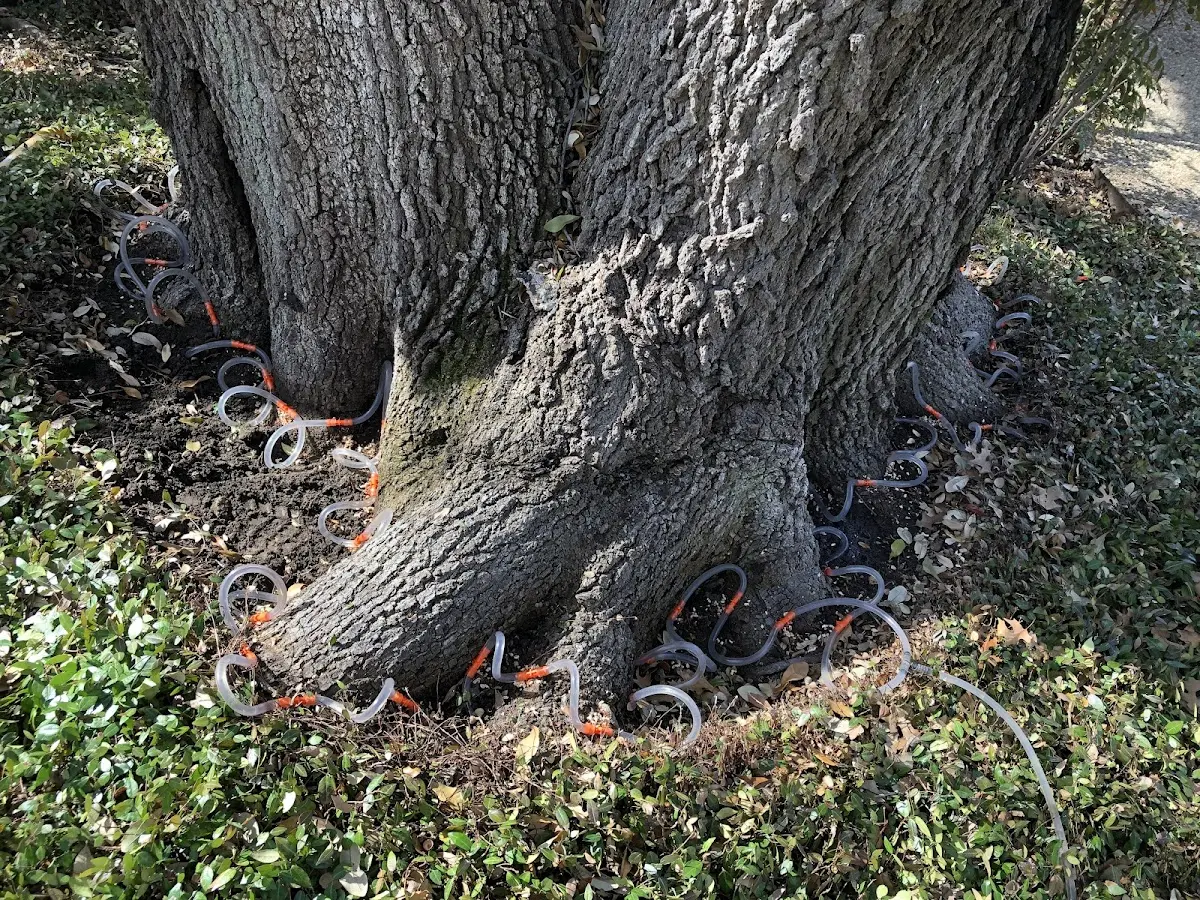 Detailed Shrub and Hedge Trimming job site in Brooklin